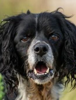 Dina möchte unbedingt ankommen💜 - München