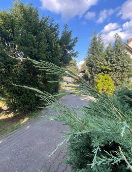 Einfamilienhaus (vermietet) zu verkaufen - Wandlitz