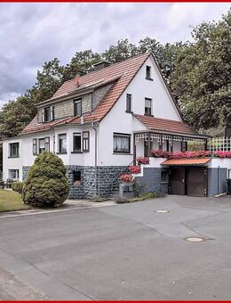 Vielseitiger Resthof / Bauernhof in Alleinlage - Wohnen, Arbeiten, Vermieten & mehr - Hallenberg