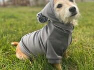 Handmade SWEATSHIRT Hundejacke Hunde Hoodie WELUR Kleidung FARBWAHL Set1 - Wuppertal