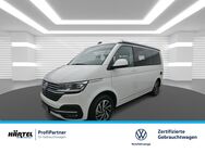 VW T6 California, 6.1 OCEAN TDI (, Jahr 2023 - Osnabrück