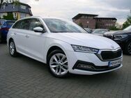 Skoda Octavia 2.0TDI Style ACC Columbus+ HeadUp Kamera - Falkensee