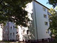 Wohnglück in zentraler Lage von Kassel! - Kassel