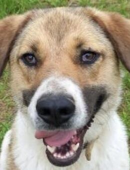 Dorina - wer geht mit mir in die Natur? - Mettmann