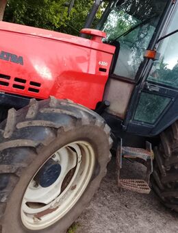 Valtra 6300 mit sehr wenig Betriebsstunden zu verkaufen - Buchholz (Landkreis Dithmarschen)