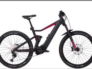 E Bike Mountainbike von Aminga Bulls - Hamm