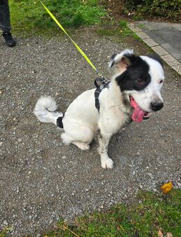 Lu - Hagen (Stadt der FernUniversität) Hohenlimburg