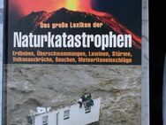 Das große Lexikon der Naturkatastrophen- Erdbeben, Überschwemmungen, Lawinen, Vulkanausbrüche, Stürme, Seuchen, Meteoriteneinschläge. Buch von Lee Davis, ehemaliger Laden-Neupreis 29,90 , 4,- - Flensburg