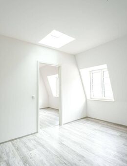 Große moderne Wohnung zum Erstbezug - Frankfurt (Oder)