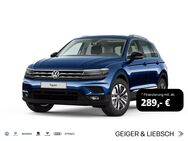 VW Tiguan, 2.0 TDI IQ DRIVE DIGITAL, Jahr 2019 - Linsengericht