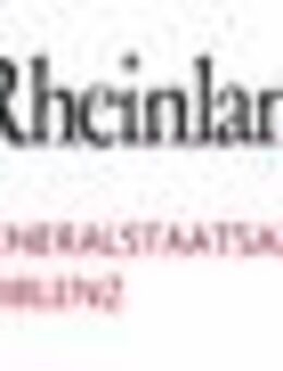 Fachinformatikerin / Fachinformatiker der Fachrichtung Systemintegration (m/w/d) - Koblenz