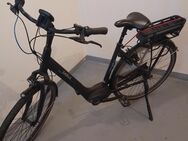 E- Bike Gazelle Arroyo C7 - Wachtberg