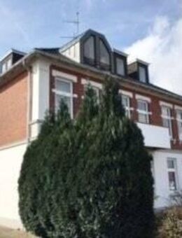 Frisch renovierte 2,5-Zi. DG Whg. in Hohenlockstedt - Hohenlockstedt