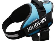 JULIUS-K9 IDC®-Powergeschirr, aquamarin - Größe: L