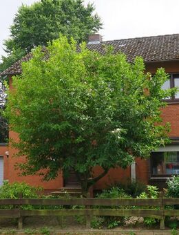 LOHE-RICKELSHOF: Wohnhaus mit 4 Zimmern auf einem 560 m² großen Grundstück - Lohe-Rickelshof