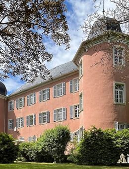 Imposantes Barockschloss am Rand der Rhön in Franken mit 62.000 m² Park, Wald und Wiesen - Heustreu