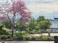 Leben am Yachthafen! Luxuriöse 4,5 Zimmer-Wohnung am See in Friedrichshafen - Friedrichshafen