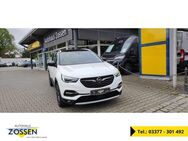 Opel Grandland Ultimate 1.6 AHK Navi LED Leder - Zossen