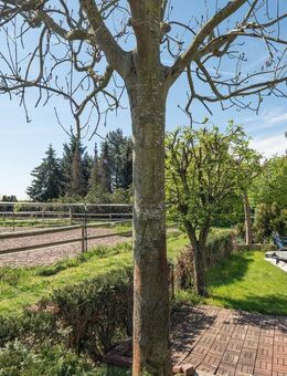 Großzügiges Reihenendhaus vis a vis zur Koppel. Kapitalanlage für die Altersvorsorge - Dallgow-Döberitz