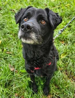 NOTFALL Erik - Endlich ein geborgenes... - Obertshausen