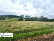 NATUR PUR! GRENZE LUXEMBURG: 40 AR IN TOP-LAGE! - Merzkirchen