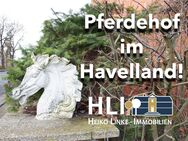 Obj.Havelländer Pferdehof im Dornröschenschlaf! - Rhinow