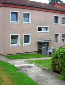 renovierte 1-Zimmer Wohnung in Wennigsen OT Bredenbeck - Wennigsen (Deister)