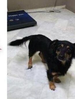 Aili ist bereit für ein neues Leben! - Oberhausen