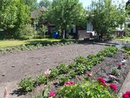 Schrebergarten mit Bungalow zu verkaufen. - Bad Düben