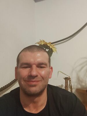 Profil