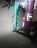 Motobecane Rennradrahmen in 94315