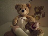 Teddy Steiff. Mit Zubehör. - Bielefeld