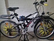 2 Jahre altes Mountainbike kaum Gebraucht Top Zustand 120 € VB - Wedel