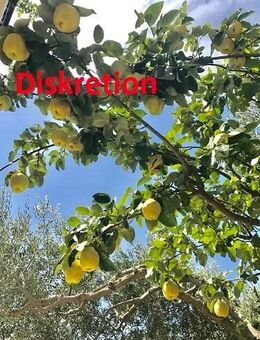 Alleinlage mit Stallungen und Quellen im Allgäu - Altusried