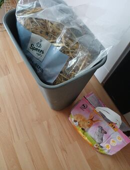 Zwergkaninchen Futter zu verschenken - Dresden