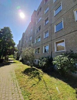 Bei Anmietung bis zum 31.12.2025 gesenkten Mietpreis bekommen. - Dresden