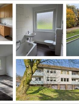 Attraktive 3-Zimmer-Wohnung im EG mit Balkon und Garage in ruhiger Lage! - Bad Fallingbostel