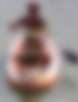 Ilo*** - Sendenhorst