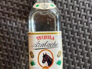 Azabache Tequila - Eisleben (Lutherstadt)