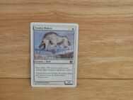 Magic The Gathering-Tundra Wolves - Nörvenich