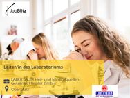 Leiter/in des Laboratoriums