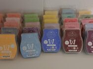 Scentsy Bar - Egloffstein