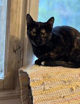 Aurelia möchte geliebt werden - Celle