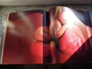 Anne Geddes Celine Dion Miracle + Willkommen 2 Bildbände CD+DVD zus. 10,- - Flensburg