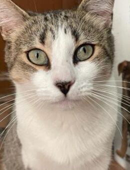 Marta sucht ihr Glück ❤️ - Saarbrücken