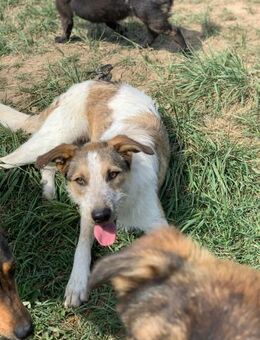 Nando sucht sein Glück - Celle