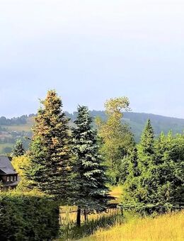 Ferienwohnung Zimmer Wohnung FeWo Vermietung - Klingenthal