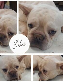 ZOKNI PP FB Mädchen sucht Geborgenheit - Neustadt (Rübenberge)