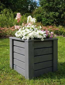 KONIFERA Pflanzkübel Pflanzkasten, 40x40x40 cm, verschiedene Farben