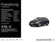 VW Golf Variant, 2.0 TDI Life, Jahr 2022 - Haßfurt